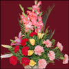 Special Wishes - Click here to View more details about this Product
